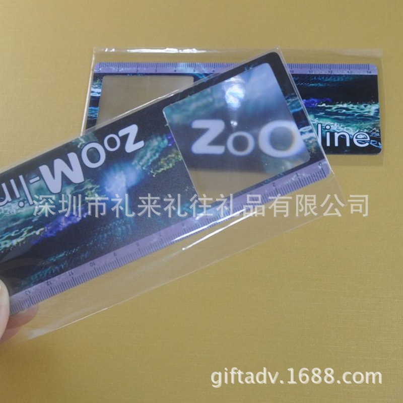 放大镜书签3-30 (98)