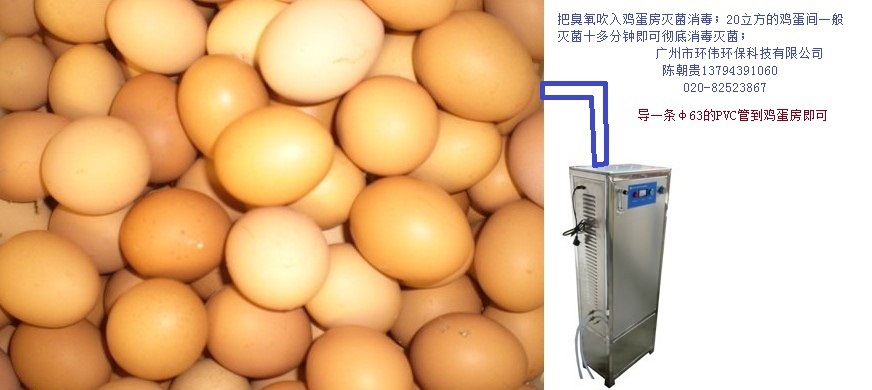鸡蛋储存间消毒臭氧发生器
