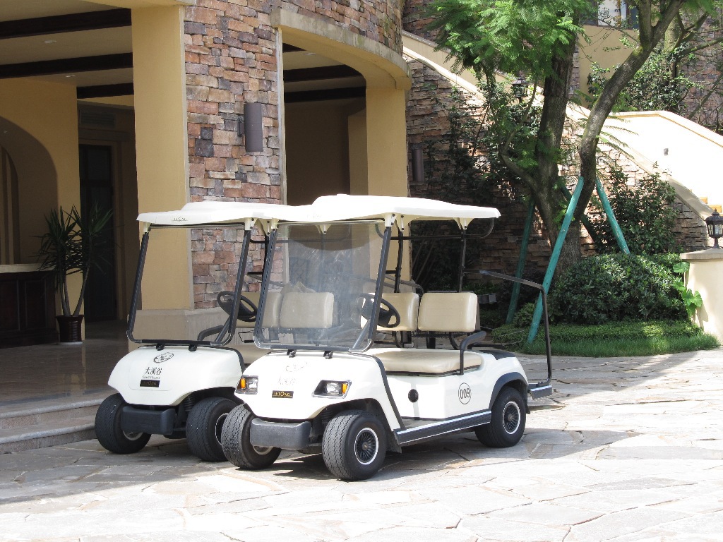 Golf Cart Dongguan Lvtong Golf Electric Cart Manufacturer Price 2-Seater Golf Sightseeing Cart Deposit