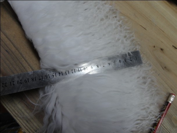 8EM{IOFF%78`5]Z)L_{)AWE