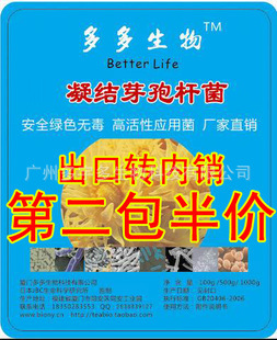 凝结芽孢杆菌 高纯度高活性 耐高温耐酸碱 繁殖快 出口品质 1000g