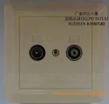 廠家直銷電視視頻信號分支面板 AV插頭插座