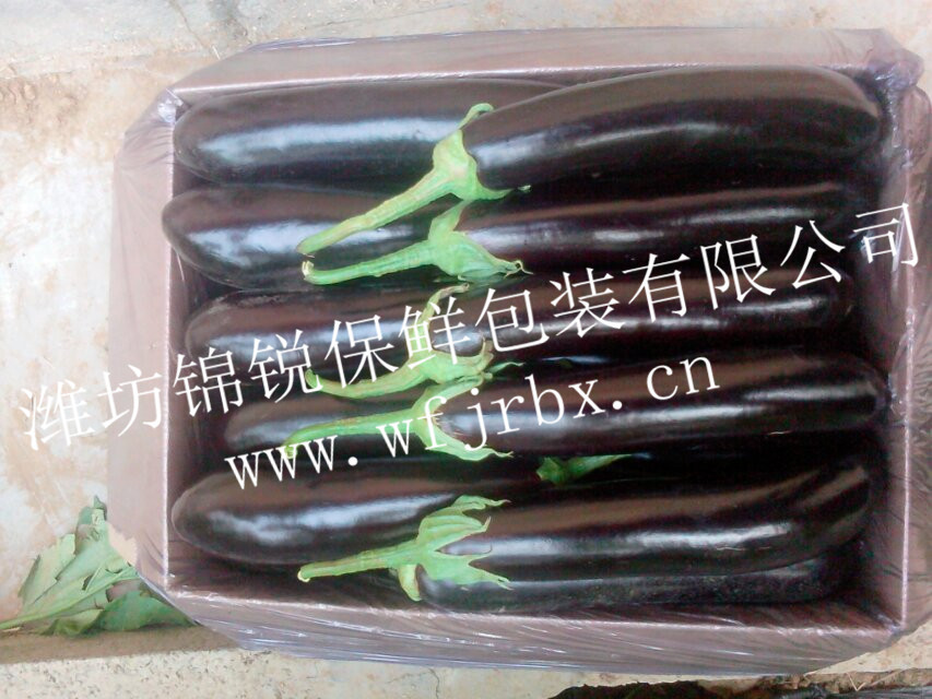 茄子專用錦銳保鮮袋