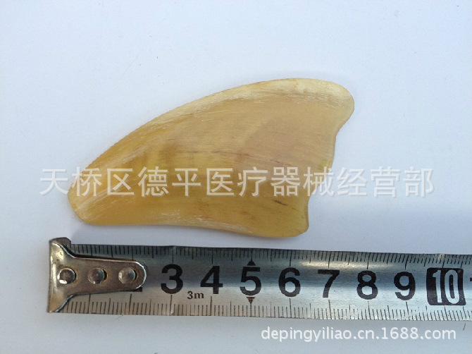 照片 379