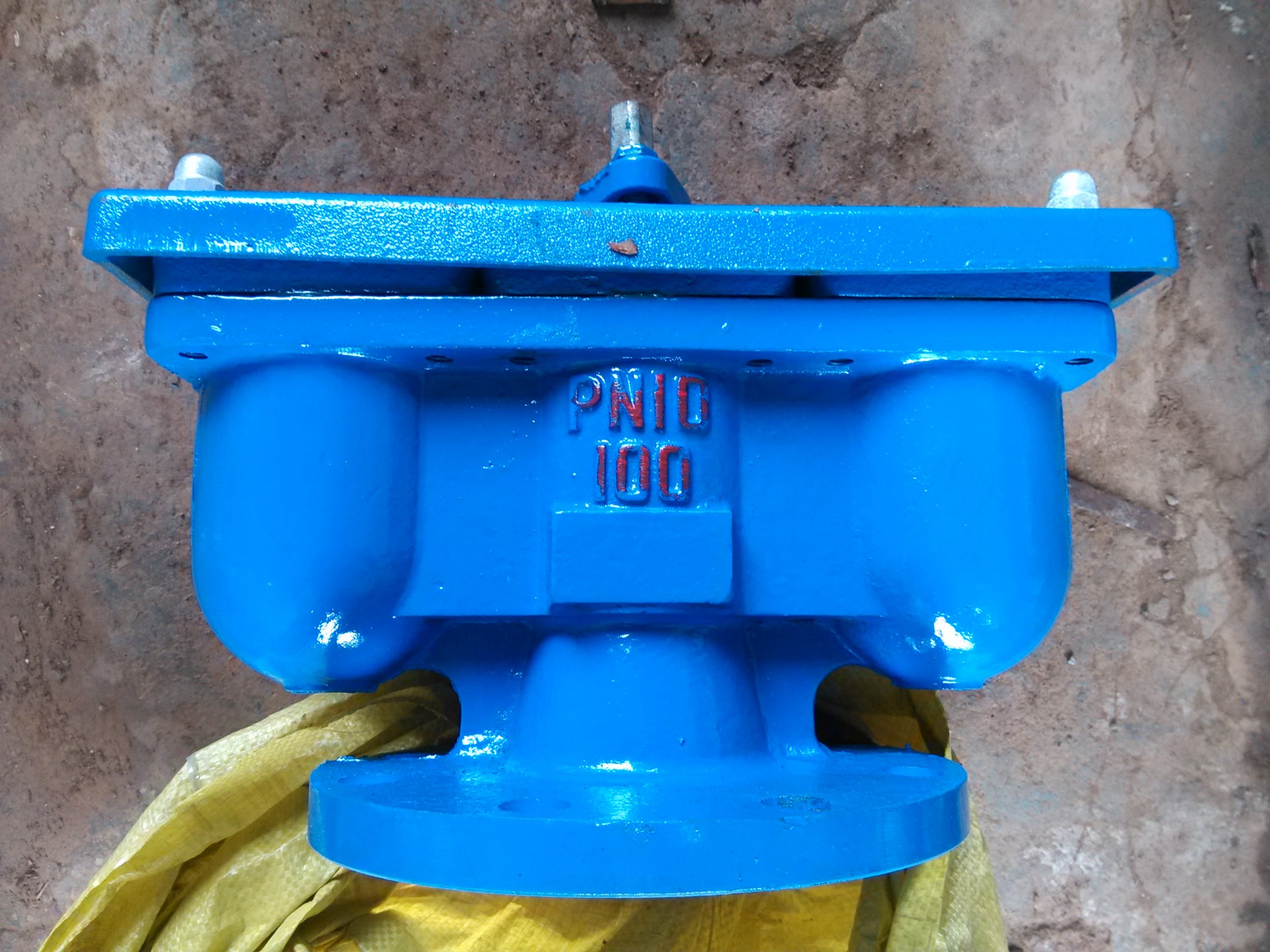 双口排气阀 快速排气阀 QB2-10 DN100 厂家直销 质优价美