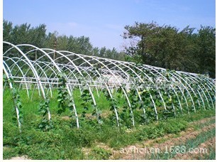 生产厂家 供应 蔬菜大棚支架 玻璃钢支架 型材支架