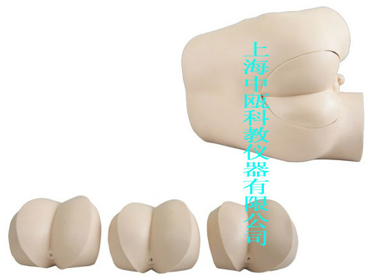 LV39型高级直肠指诊检查|医学教学模型|诊断模型,医学实验室装备