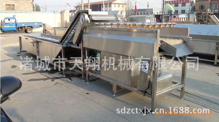 供应天翔 果蔬清洗去杂机 果蔬加工设备厂家供应售后保障