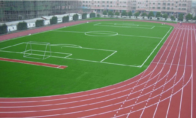 sujiaopaodao1