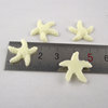 Wish bottle micro -landscape decorative material mini little star star flat bottom pentagram can put water without fading