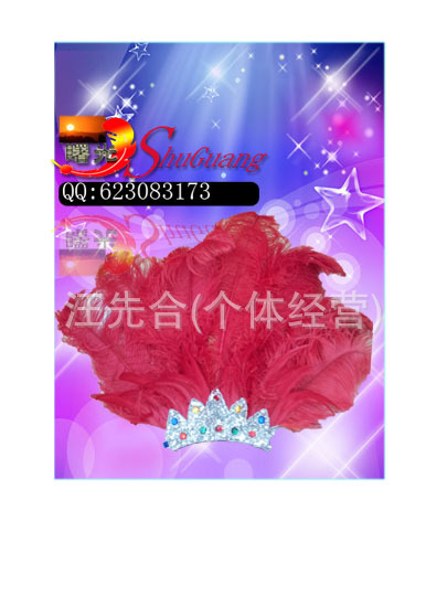 鸵鸟毛头带 ，多色定做，给你新的视觉感受，心灵的震撼。详情图1