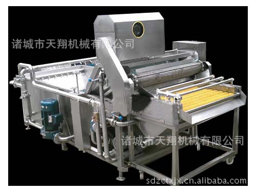 蔬菜清洗去杂机蔬菜水果清洗机 果蔬清洗机售后保障自动清洗