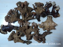 大兴安岭灵芝东北灵芝天然野生纯天然黑灵芝山参