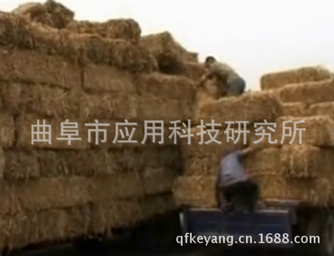 {5995E975-B96E-446E-BF5B-C0F30