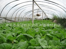 ��ϲ���ع���9˿ 10˿���ϻ��޵��߲˴���Ĥ