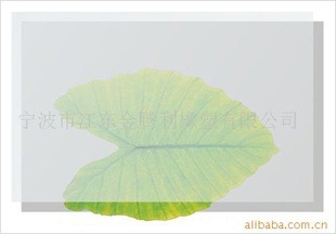 宁波厂家供应高抗撕硅橡胶板 高抗撕硅胶板 工业硅胶板批发