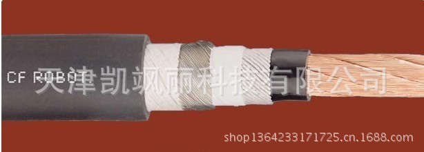 德国易格斯IGUS 机器人电缆 可扭转电缆 正品保证