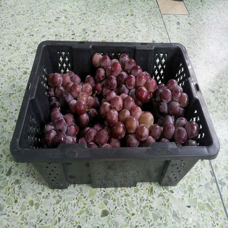供应10斤装葡萄筐子塑料 水果包装筐 杨梅桑葚周转运输筐包装篮子