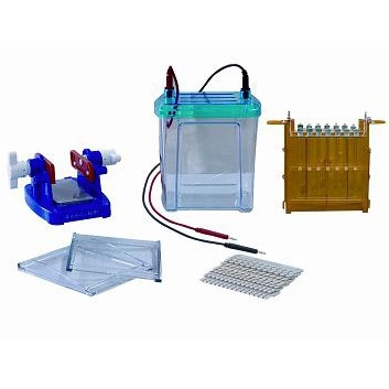Two dimensional electrophoresis tank DYCZ-26B