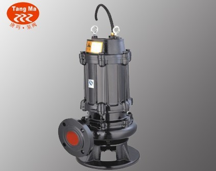 100QW60-22-7.5潜水排污泵,100WQ60-22-7.5铸铁潜污泵