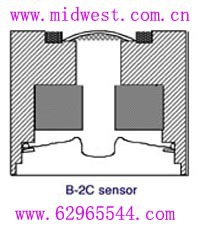 M3339燃料电池(TELEDYNE)   T1-B-2C