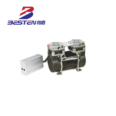 BST100DC12V.24V.36V空压机厂家生产销售直流空压机无定油制批发