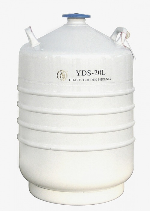 Keep in storage liquid nitrogen Biology Container Containing 6 276mm High lift cylinder) YDS-20B