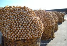 ���B늺��W ���w���ؾW Ȧ���׾W ���W