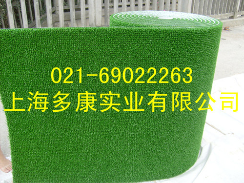 供应金毡、淘金草、增金草