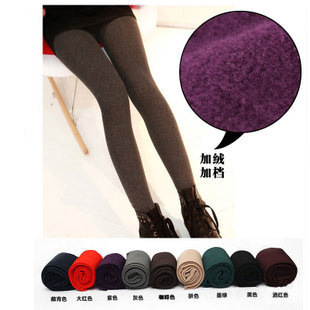 �¿� �Ӻ�ů �����q ���Z�q�Bѝ�m �x�����ѝ ���l�@��