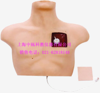 LV61型 静脉介入训练模型,人体模拟人,医学模拟人,教学模拟人