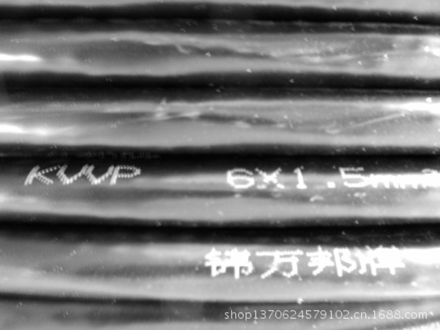 控制电缆KVVP2-22