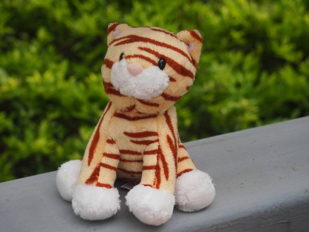 Kids' Toy