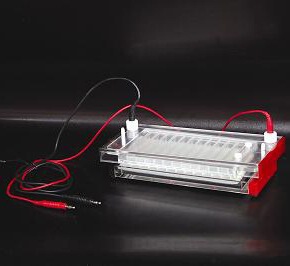 速凝胶电泳槽DYCP-44N 