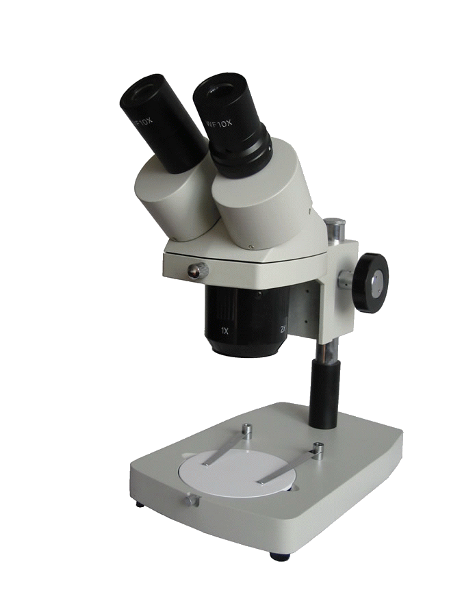 PXS-A2040体视显微镜 