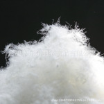 ޳ֱ ¹70%Ѽ ˮϴ 70Ѽ޼۸