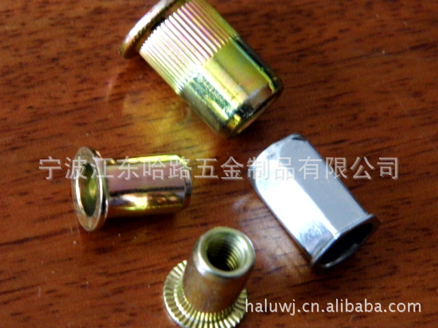 M3.M4.M5.M6.M8.M10.M12铆螺母,小头，平头，六角，不锈钢铆螺母