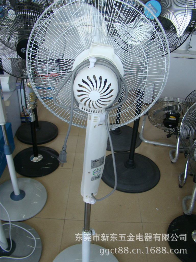 DSC01366