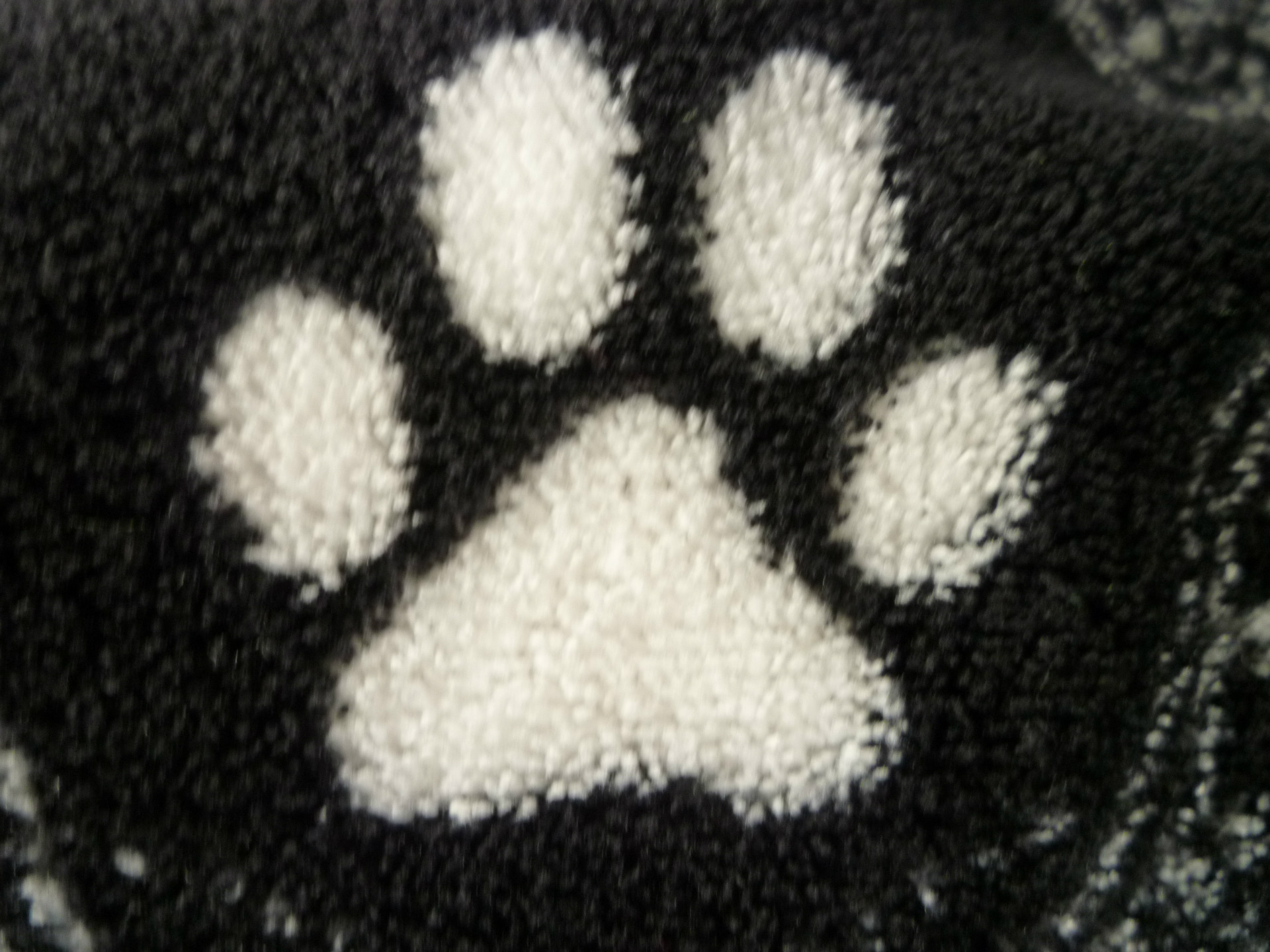 P1220420