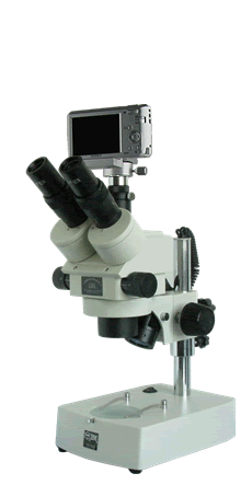 XTZ-EAS连续变倍体视显微镜 |ru