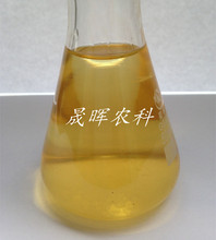 �L�ڹ��� Ư���x�z �x�z�� ���r����