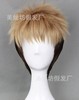 COS Undercoat Attack of the giant-Rainer Brown cosplay Wig agent wholesale Mixed batch Customized