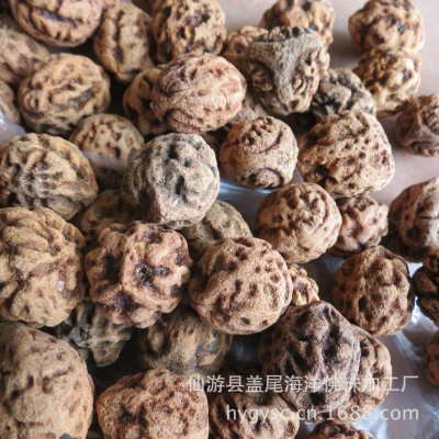 龙眼菩提材料批发佛珠手饰品摆地摊货源头厂家|ms