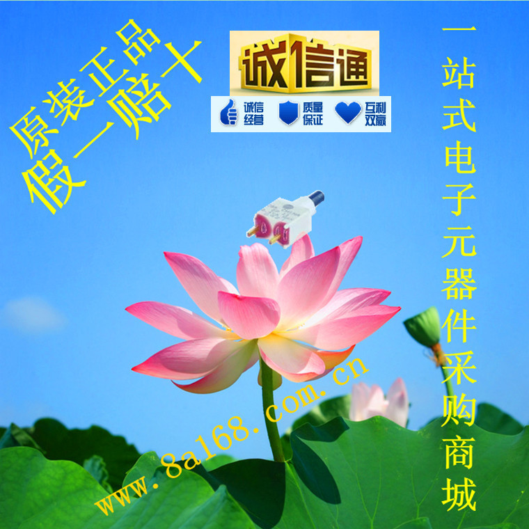 现货供应C&K Components /EP11SD1CBE 按钮开关 原装正品