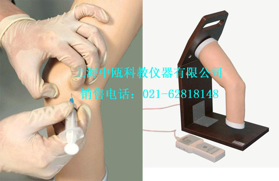 诊断模型|L71型 高级电子肘关节腔内注射模型,医学模型实验室装备