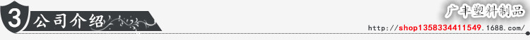 3 公司介绍