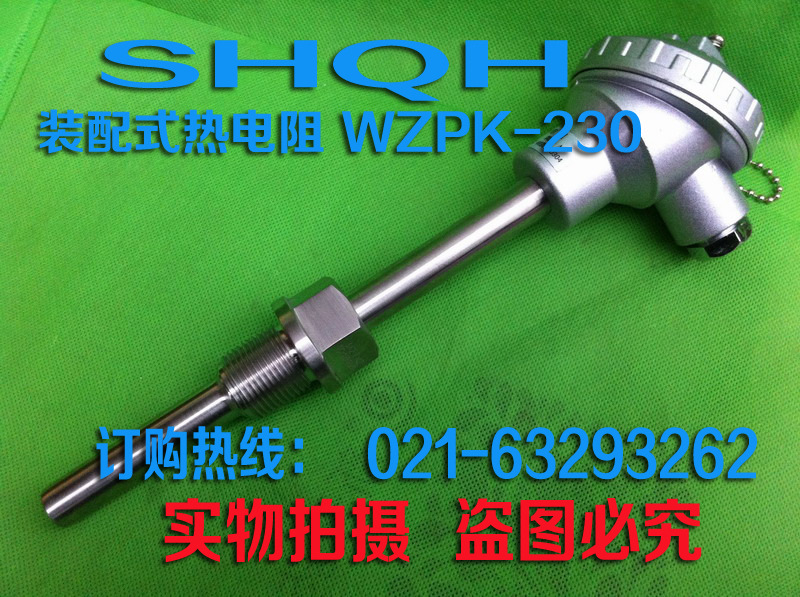 热电偶 铠装热热电偶WRNK-231