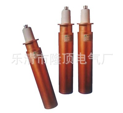 隆顶电气 可触摸式过电压保护器 CM