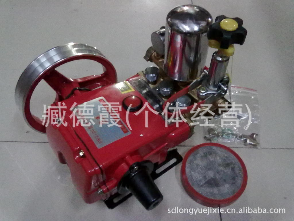 高压果林药泵 打药泵 喷药机 喷雾器 药泵 水泵 高压清洗机