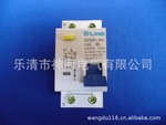 代理销售DZ30F1-40LII双线漏电断路器